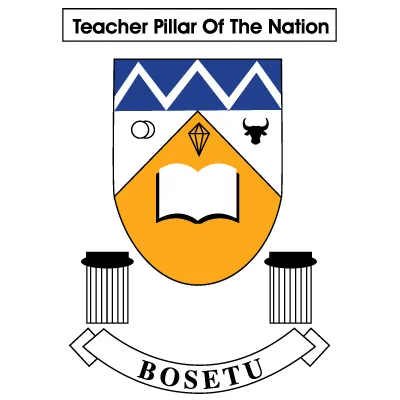 BOSETU logo